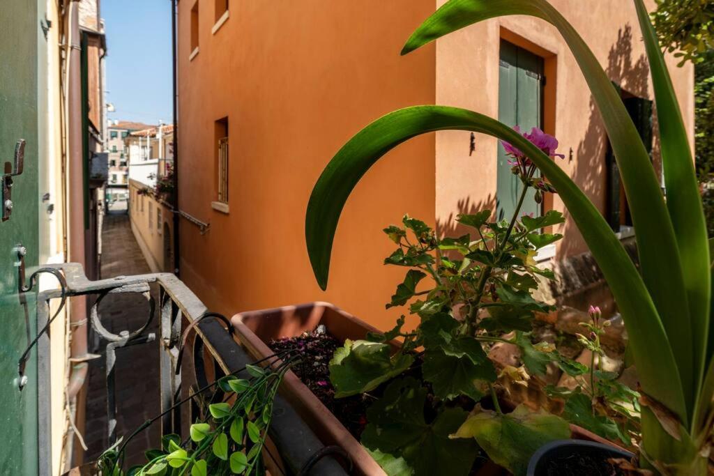 Ca' Mandorla 027042Loc09523 Appartement Venetië Buitenkant foto